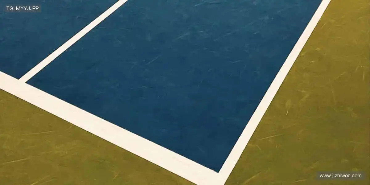 专业周边,品质之选!🎾